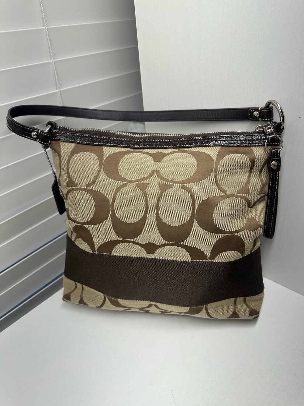 Coach Signature Stripe Canvas Hobo Shoulder Bag